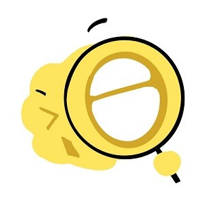 WWW,se513·COM网站APP图片